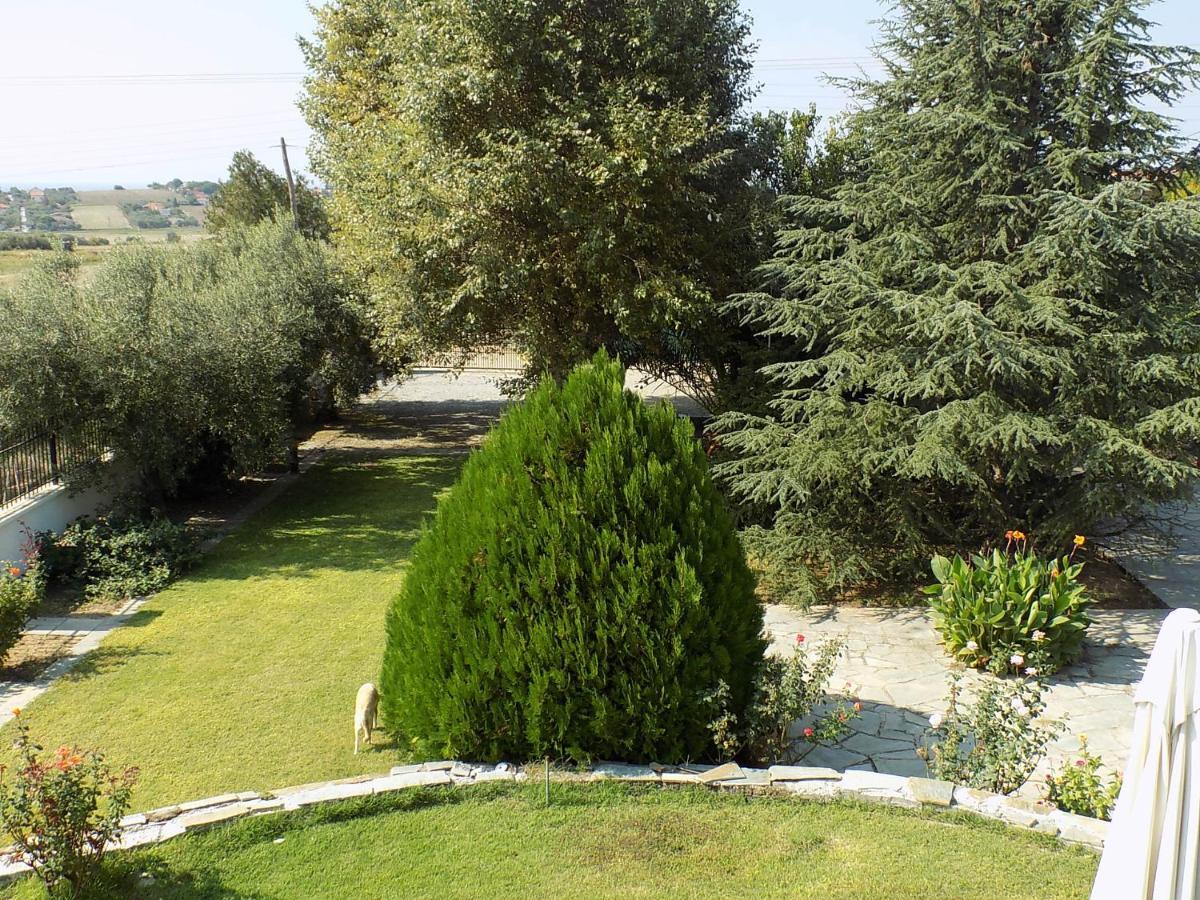Villa Orestis Melina Nea Iraklia Exterior photo